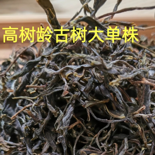 2024千年无量山单株古树春茶云南普洱茶春茶散茶