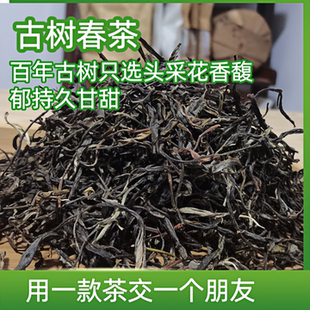 2025古树纯料头波春茶高香清甜苦轻涩弱回甘快茶农批发500克散茶