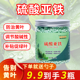 硫酸亚铁颗粒防治黄叶水培植物调节酸碱性补贴促绿叶家用肥料