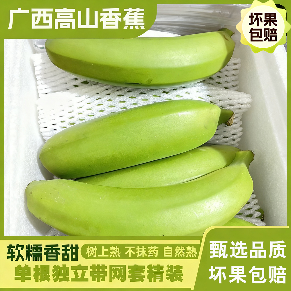 [催熟食用]正宗广西高山甜香蕉威尼斯绿皮软糯香甜自然熟新鲜水果