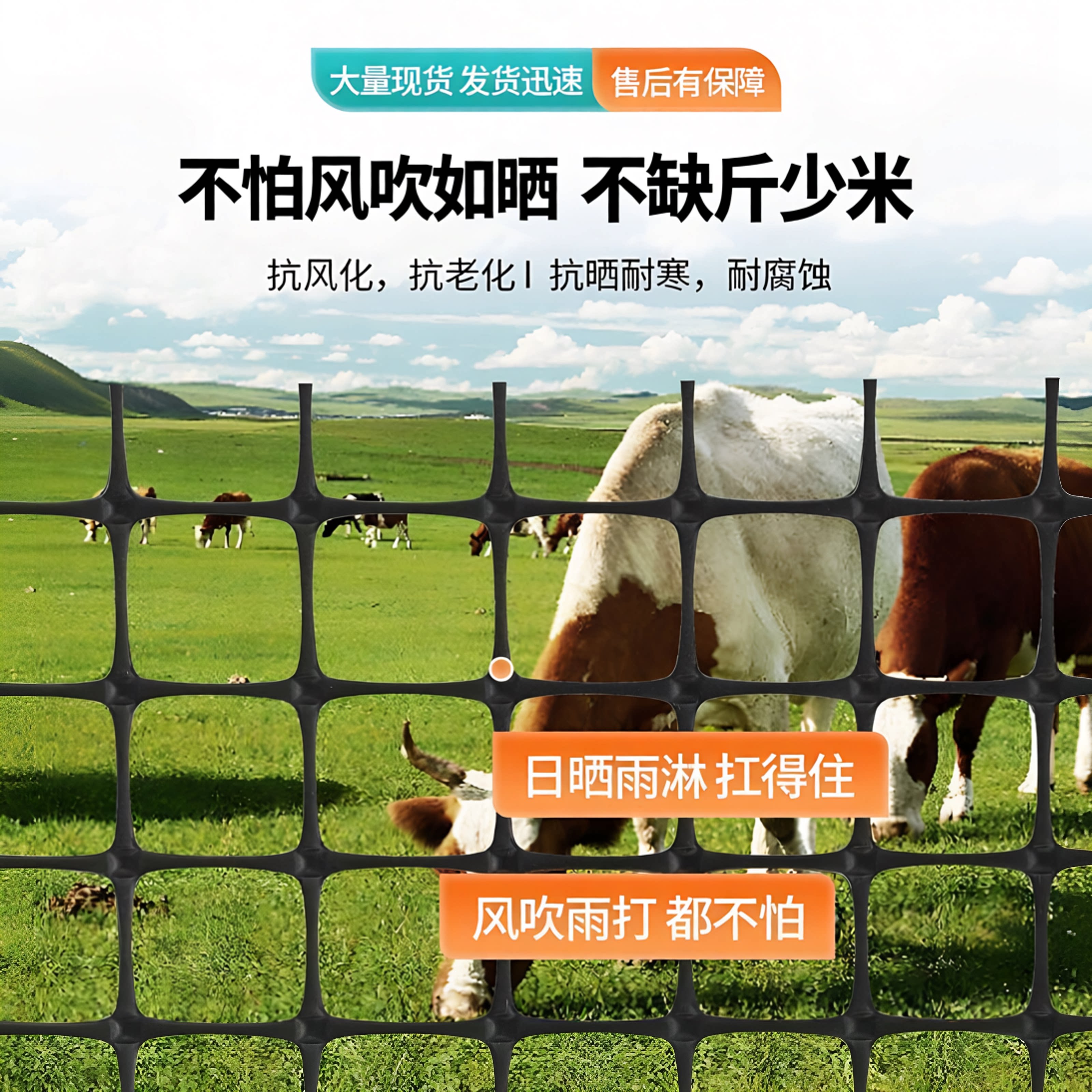养殖网果园养鸡围栏网圈玉塑料网