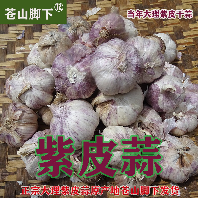 云南大理苍山脚下种植发货紫皮蒜多瓣蒜糖醋蒜腊八蒜红蒜新鲜干蒜