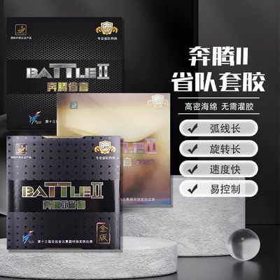 729乒乓球胶皮奔腾2省队