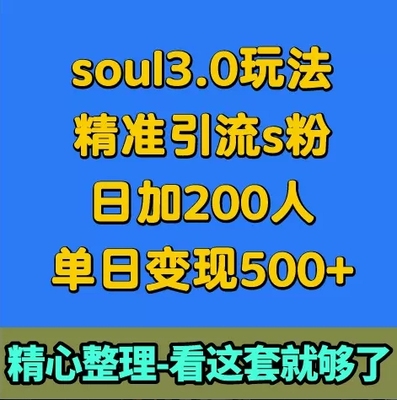 soul3.0玩法精准引s粉，陌生交友，日加200人单日变现500+