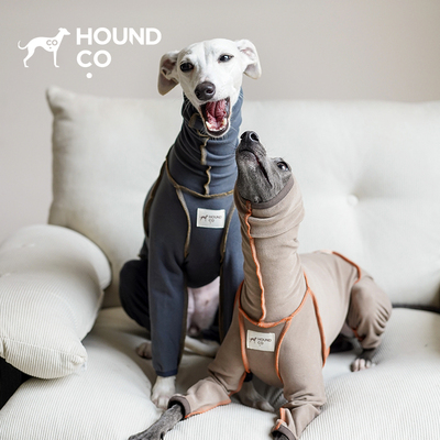 Seamless sighthound onsie宠物四脚衣 Hound.co亲肤无痕 petisan