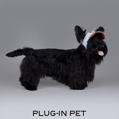 宠物飞行帽 PLUG-IN PET保暖双层拼色摇粒绒正反两戴 Petisan