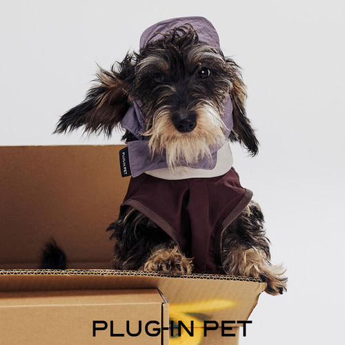 双帽檐遮阳撞色薄款帽PLUG-IN PET   Petisan