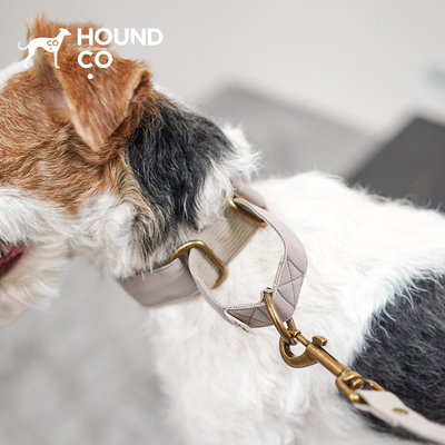 Everyday Collar&Leash Set 套头项圈Hound.co轻柔舒适 petisan