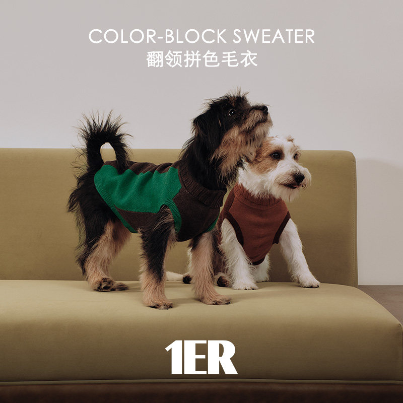 翻领拼色毛衣 1ER bud秋冬休闲舒适保暖衣服 Petisan