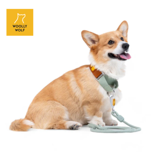 wolf环保训练 北欧woolly 轻量半P链24秋冬新款 petisan 现货