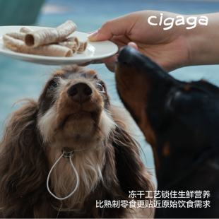 Cigaga 鹅喉管宠物零食磨牙冻干petisan
