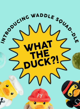 鸭子系列 Fuzzyard 狗狗发声巡回互动毛绒玩具 Petisan