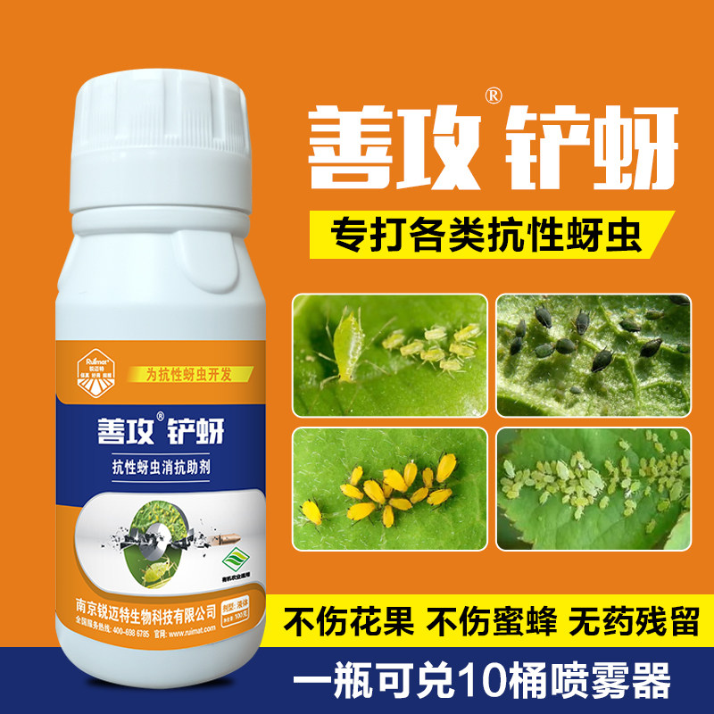 蚜虫专用除虫剂草莓玫瑰月季西瓜桃树花卉茶叶果树蔬菜腻虫通杀