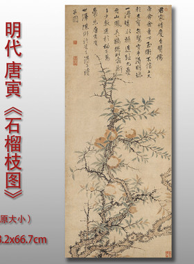 唐寅石榴枝图写意花卉画国画