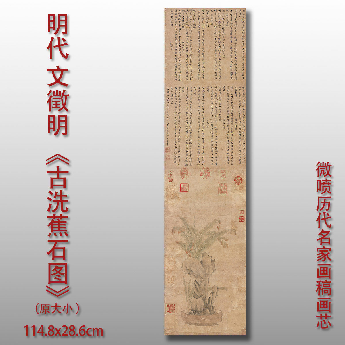 明文徵明古洗蕉石图宣纸绢布微喷