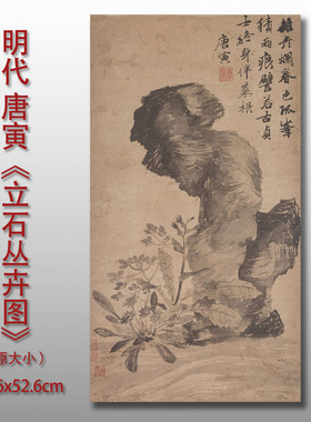 唐寅立石丛卉图明代国画