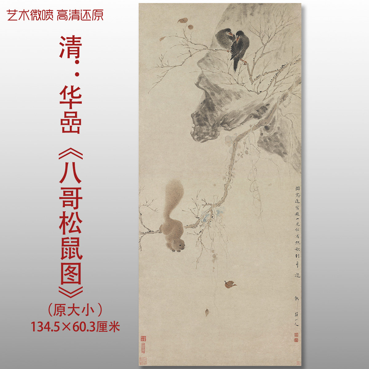 清代华喦八哥松鼠图动物写意国画复制品高清艺术微喷绢本临摹画心