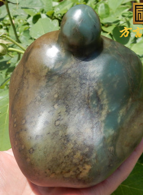 惊呆方言和田玉镇店金鹿皮蓝色蓝玉原生籽料异型意境原石玩料w2