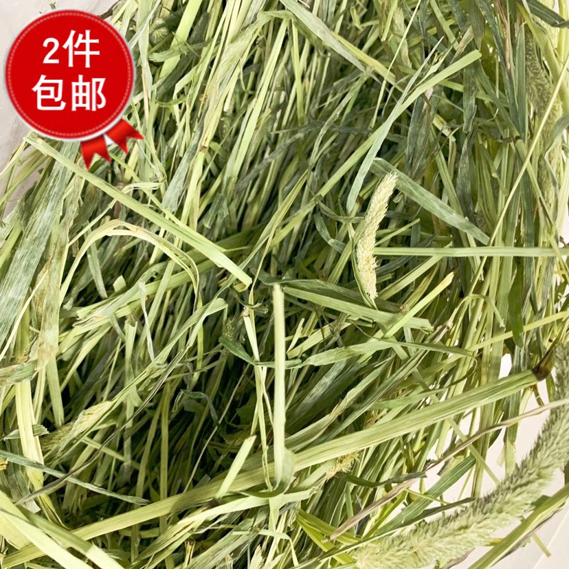 包邮21年国产提摩西草提摩西草