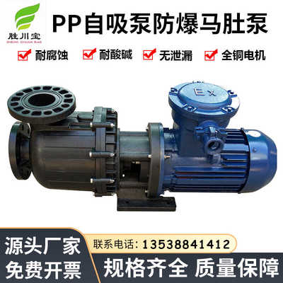 卧式提升耐酸碱防腐蚀马肚泵PP
