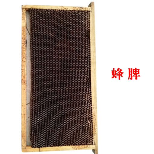 蜜蜂蜂脾 意蜂脾 脾框 蜂群活养蜂巢础