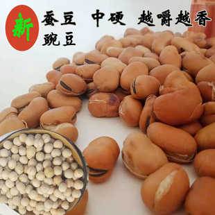 胡豆干炒蚕豆原味零食500g豆子小特产休闲小吃农家炒豆500克