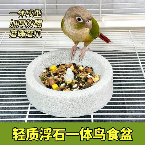 鹦鹉食盒食碗喂食器浮石磨爪磨嘴小碗食盆小鸟防溅防打翻吃饭碗