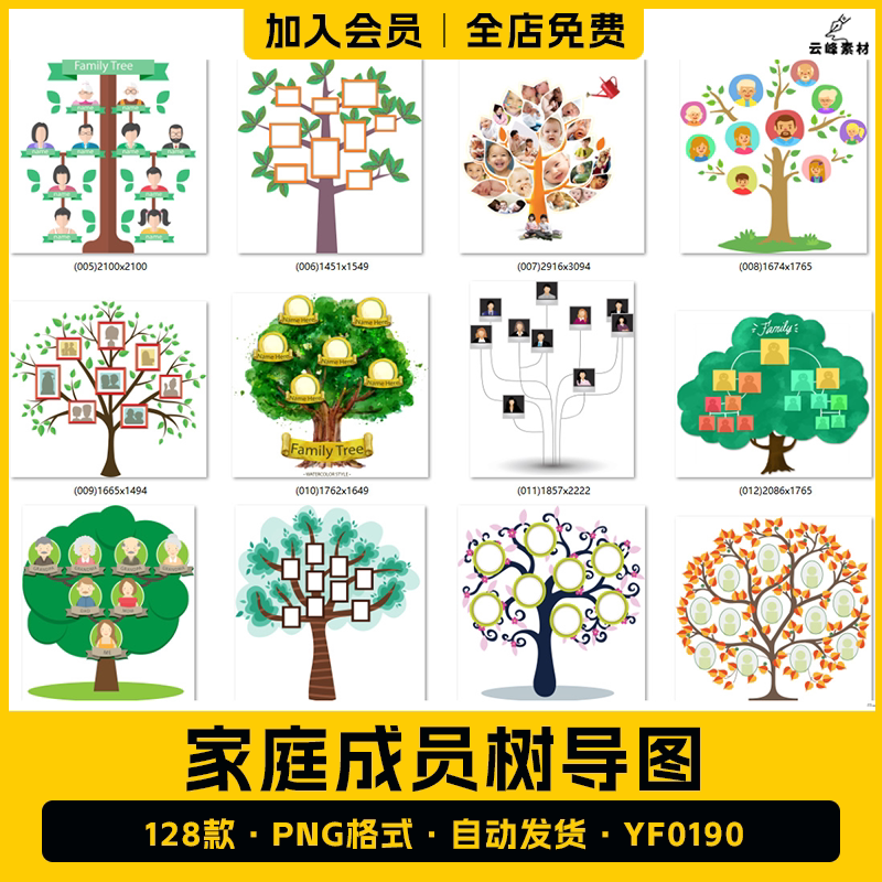 家庭成员树照片墙家谱模板插图png免抠图片 家庭树导图树ps素材