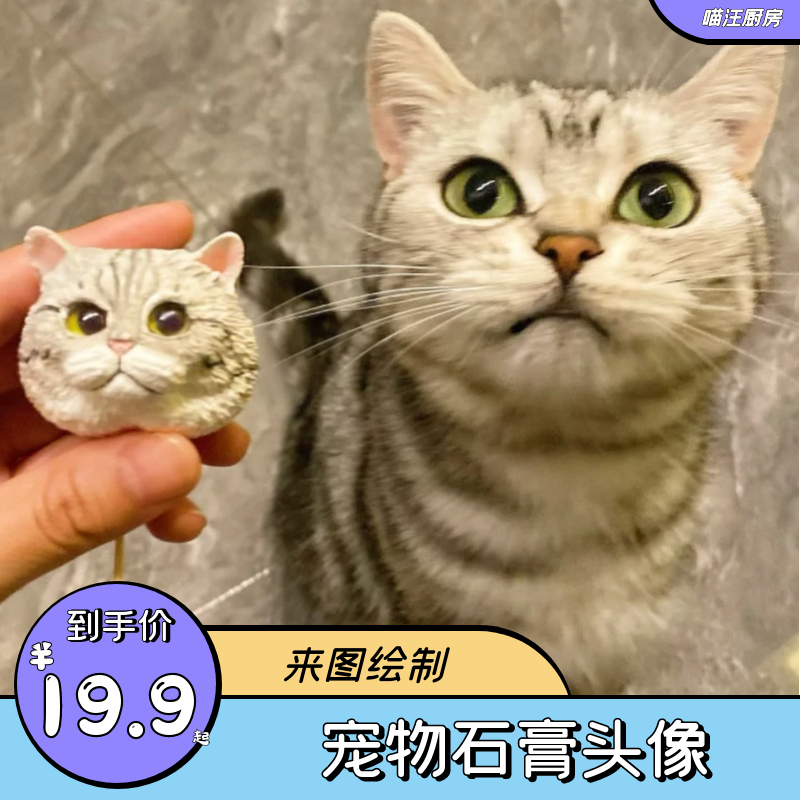 宠物蛋糕头像摆件手绘猫猫狗狗摆件喵汪厨房 柯基比熊泰迪