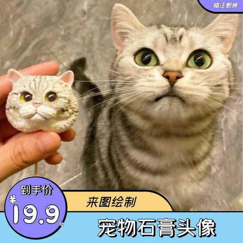 宠物蛋糕头像摆件手绘猫猫狗狗摆件喵汪厨房 柯基比熊泰迪