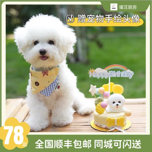 喵汪厨房 宠物蛋糕生日猫咪狗狗 送手绘头像顺丰 包邮 泰迪比熊
