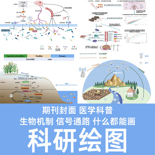 科研绘图代画医学生物TOC机制3d建模封面ppt流程示意图技术路线图