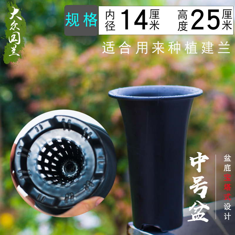 大众国兰草中号透气塑料兰花盆黑色10月20日最新优惠