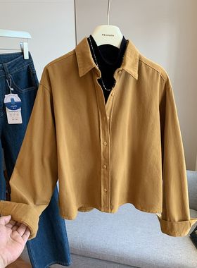 纯色磨毛短款衬衫女秋冬上衣2024新款韩版叠穿小个子纯棉衬衣厚