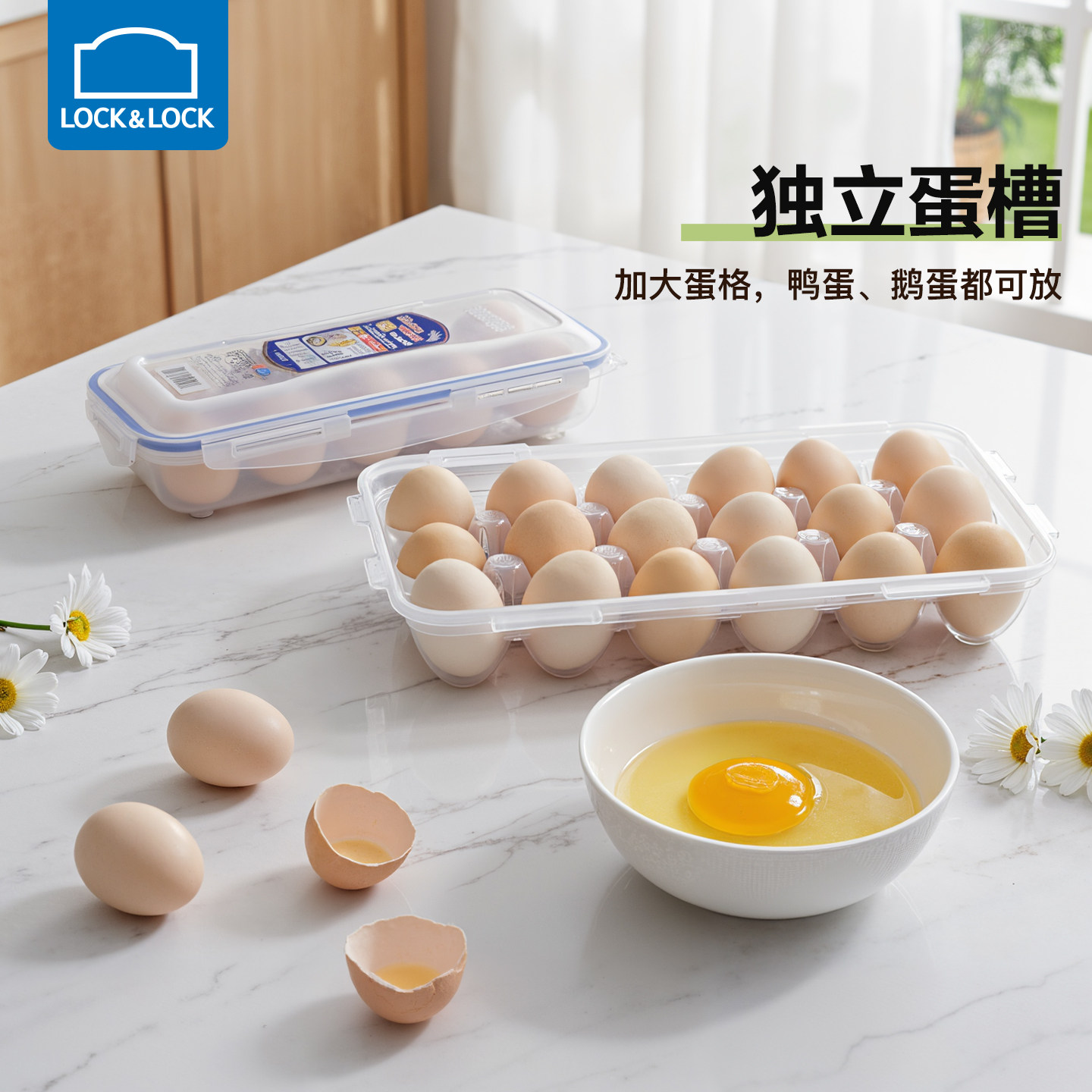 乐扣乐扣鸡蛋收纳盒冰箱用塑料保鲜盒打包盒子十个装鸡蛋专用托