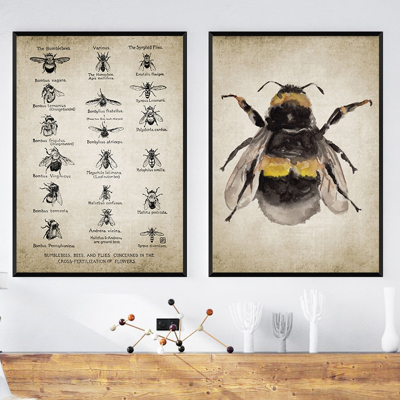 蜜蜂图案装饰画复古小众昆虫科学挂画书房背景墙乡村风格装饰壁画