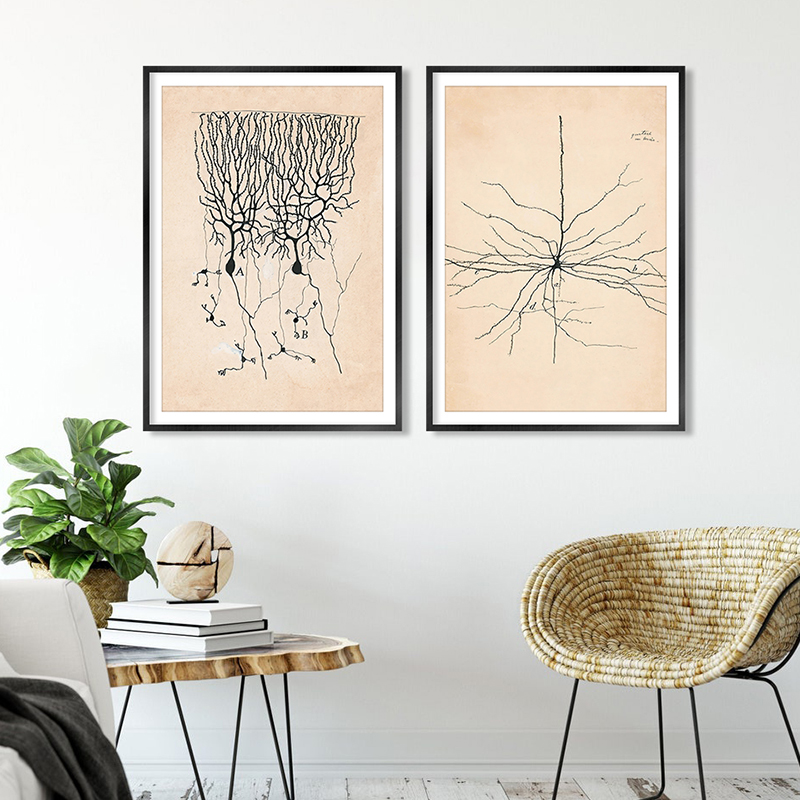 脑科学艺术挂画神经元绘画