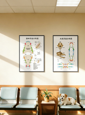 猫咪狗狗骨骼肌肉牙齿结构图挂画