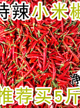小米辣椒新鲜5斤农家现发特辣朝天椒产地直发指天椒薄皮鲜红辣椒