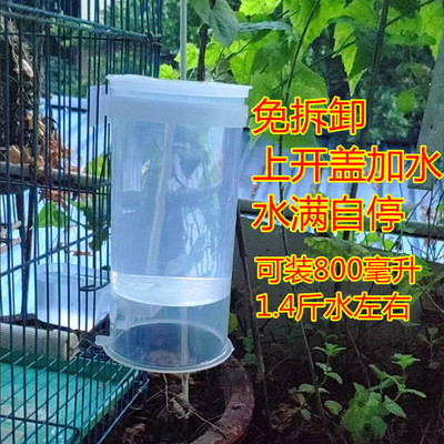 新款鸽子鸟用饮水器信鸽用具自动水壶鹦鹉喂水杯芦丁鸡小鸡饮水槽