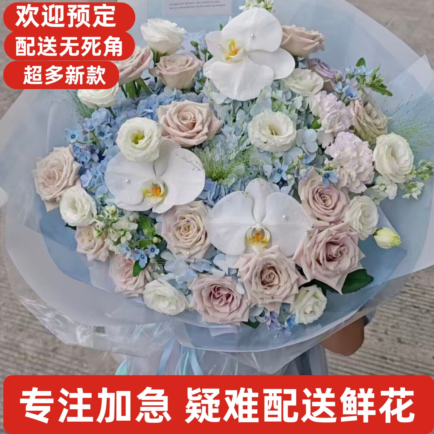母亲节鲜花送怀化洪江中方沅陵辰溪溆浦会同麻江新晃芷江靖州通道