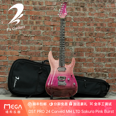 T'sGuitars电吉他24Carved