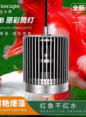 奇迹水景原彩筒灯金鱼增艳爆藻