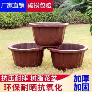 紫砂特大号圆形深梅花花盆
