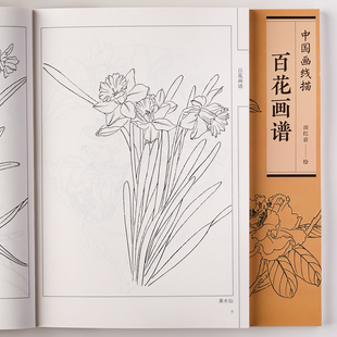 百花画谱 工笔画底稿 百花白描书 线描图谱 花卉工笔底稿书