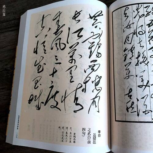 毛泽东书法诗词全集初学者成人草书作品书籍新品毛体练字毛笔字帖