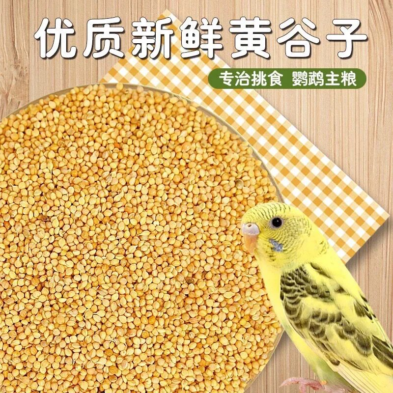 新鲜黄谷子带壳小米虎皮牡丹玄凤鸟食