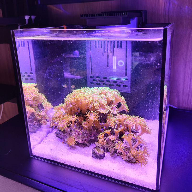 带加热定时灯光造流风散散热