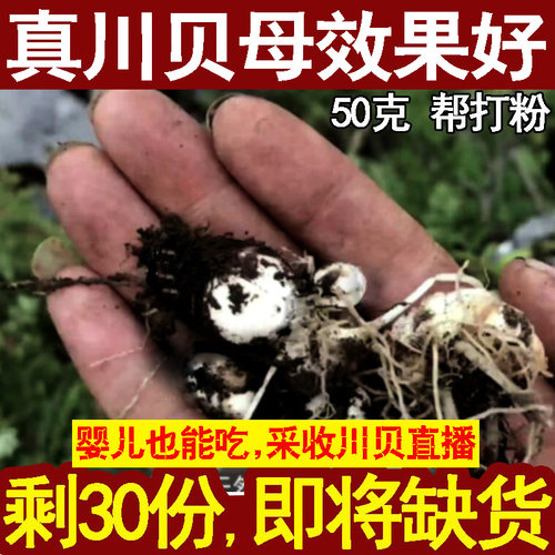 【曝】这款√效果超好√无硫川贝