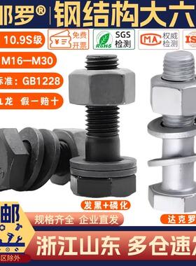 九龙10.9S钢结构M16M18M20M22M27M30高强度大六角螺栓GB1228连接